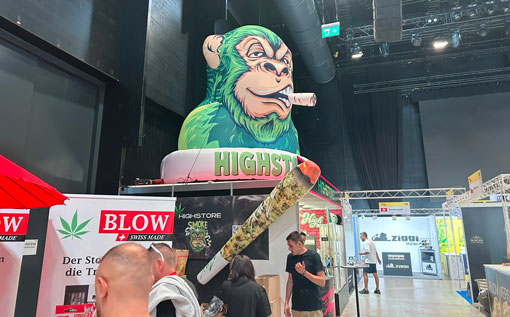 Wie ein riesiger aufblasbarer Monkey für maximale Aufmerksamkeit sorgte